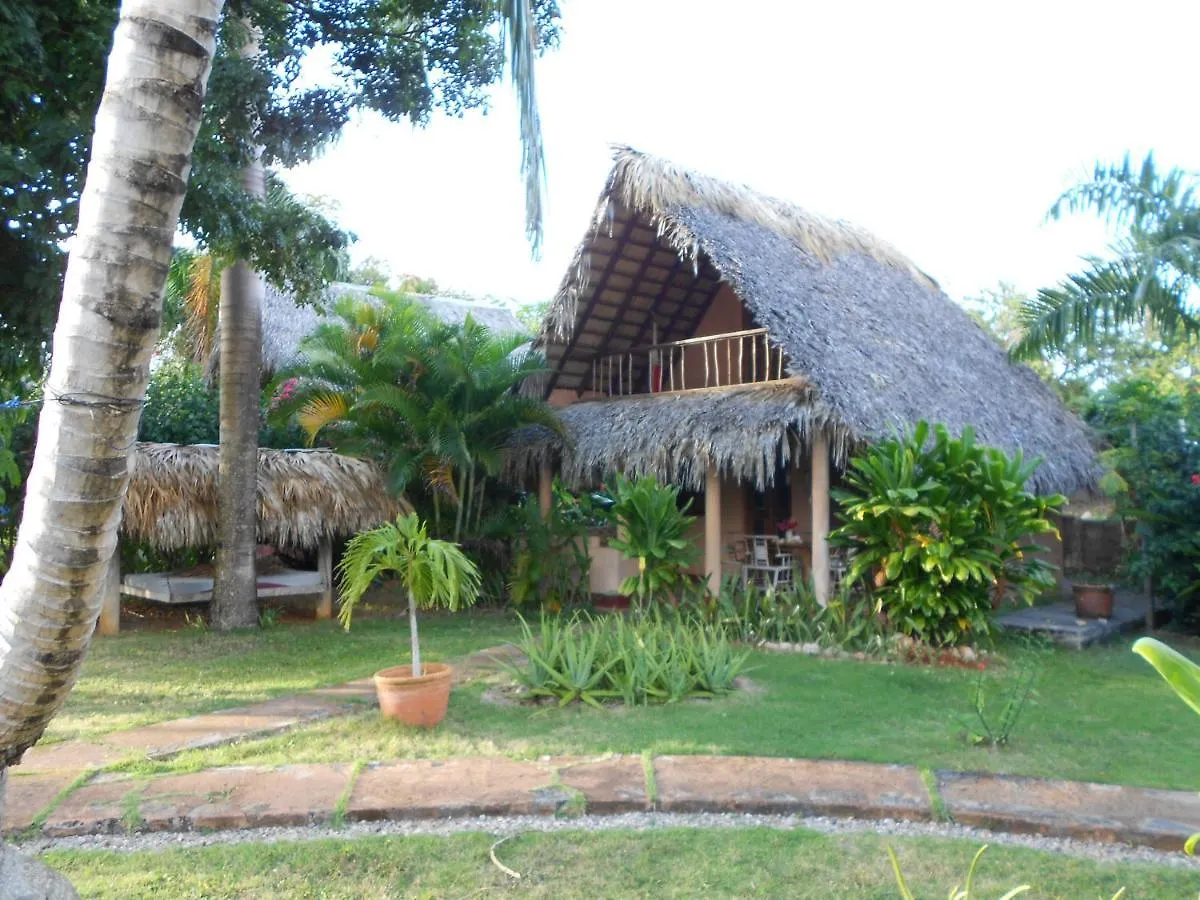 Holiday home Casa 3 Amigos-Palm Roofed House Villa Las Galeras Dominican Republic