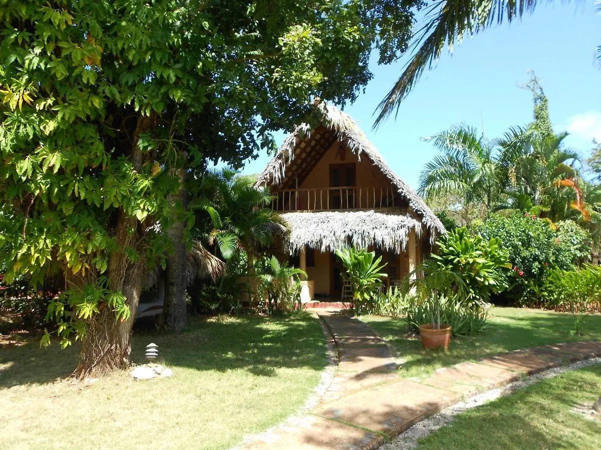 Casa 3 Amigos-Palm Roofed House Villa Las Galeras Dominican Republic