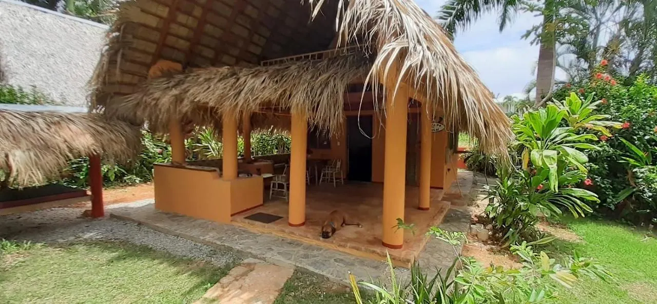 Casa 3 Amigos-Palm Roofed House contacts