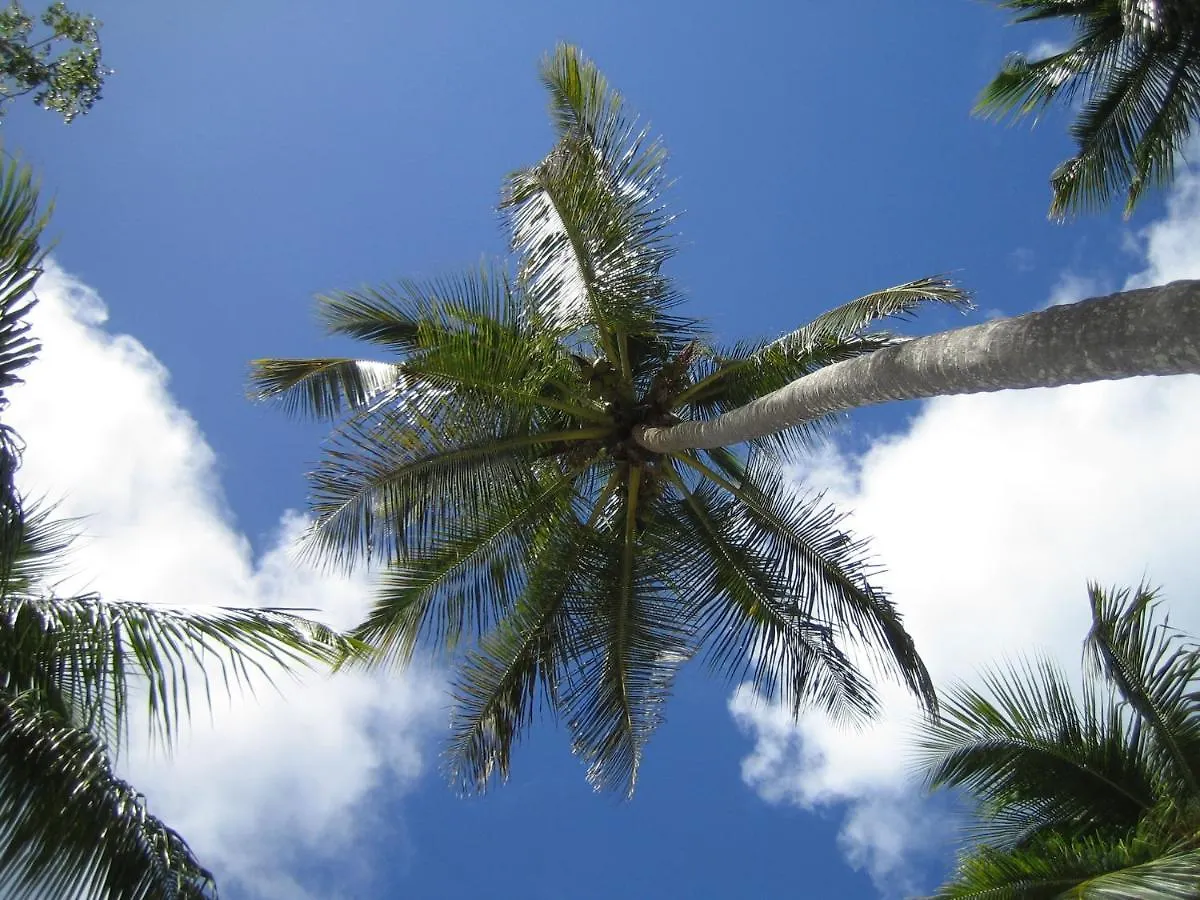 Willa Casa 3 Amigos-Palm Roofed House Las Galeras Dom wakacyjny